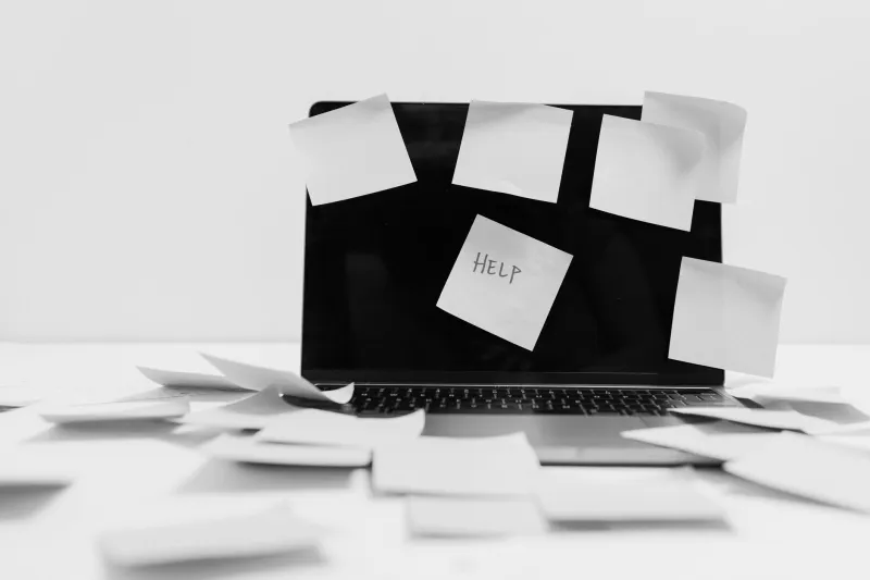 Too Many Opinions, Not Enough Vision: How Feedback Culture Is Watering Down Your Best Work
